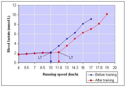 lactate_threshold_graph2